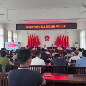 河南省新县泗店乡：深化党建引领 激活基层治理动能