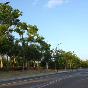 河南淮滨：绿化美化看变化 城市处处皆风景