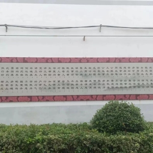 河南省商城县：村规民约“约” 出乡村治理好成效
