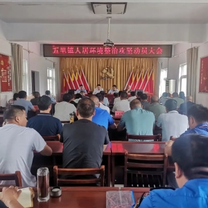 河南省信阳市平桥区五里镇：全员齐上阵 擦亮乡村“底色”