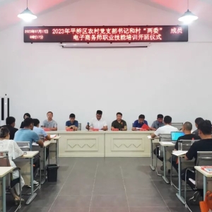 河南省信阳市平桥区明港镇：让产业发展搭上“数字快车”
