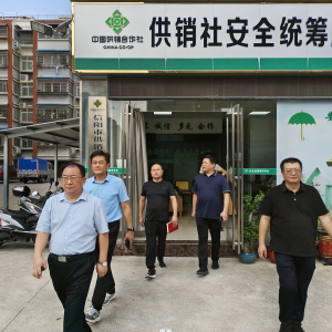 中农控股河南分公司领导到信阳供销集团调研指导工作