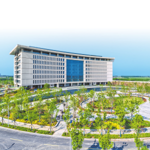 河南省种业“航母”何时扬帆起航