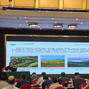 信阳市市场监督管理局在河南省知识产权运营专题会议上做先进经验交流