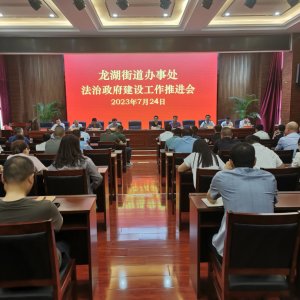 河南省信阳市息县龙湖街道办事处召开法治政府建设工作推进会
