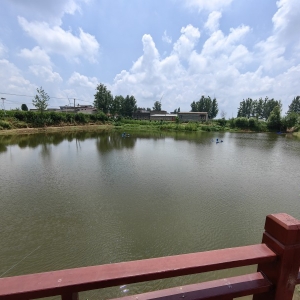 漯河市源汇区：做活水文章 绘就现代渔业新画卷