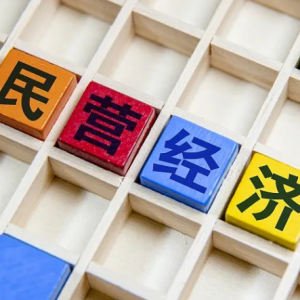 推进中国式现代化 民营经济作为生力军不可少