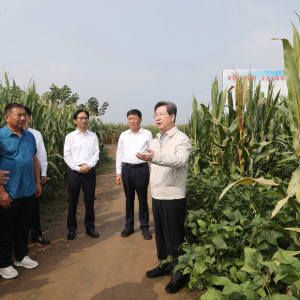 楼阳生到许昌市鄢陵等县区调研，加强顶层设计 强化科技赋能