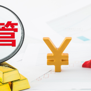 深交所首次问询申请发行GDR公司 三花智控募投项目必要性等问题被关注