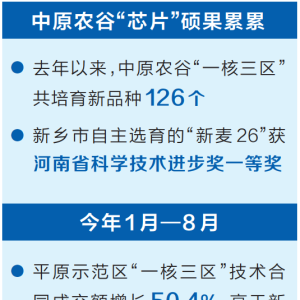 中原农谷农业“芯片”初露峥嵘