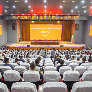 河南省派驻帮扶干部能力提升示范培训班在周口市举办