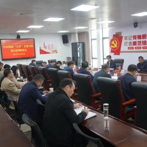 河南省信阳市召开创建“五星”支部引领基层治理联席会议