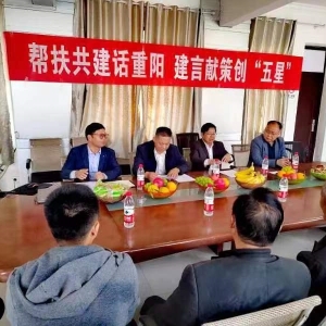 漯河市示范区黑龙潭镇坡杨村召开“帮扶共建话重阳建言献策创'五星'”座谈会