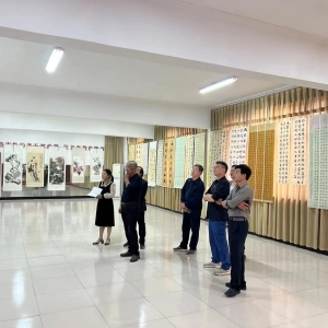 漯河市郾城区：五项活动辉映重阳彩霞