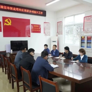 河南省信阳市中心医院党委书记黄晓赟一行赴庞湾社区开展助力乡村振兴调研工作及义诊志愿服务活动