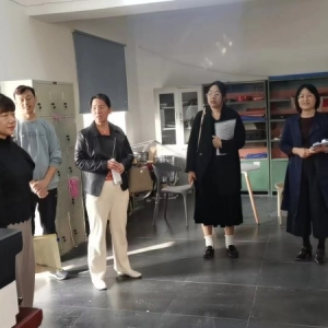 漯河市源汇区教育局体卫艺科朱爱勤一行到大刘镇初级中学督导检查心理健康教育工作