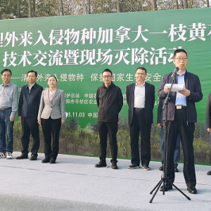 全国外来入侵物种防控现场会在信阳顺利召开