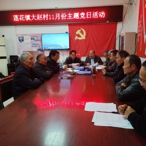 舞阳县莲花镇大赵村党支部开展11月份主题党日活动