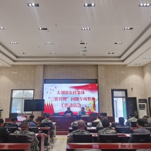 漯河市源汇区大刘镇：三项举措扎实推进农村集体“三资”管理问题专项整治工作