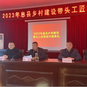 “土师傅”变“巧工匠” 河南息县开展农村建筑工匠培训