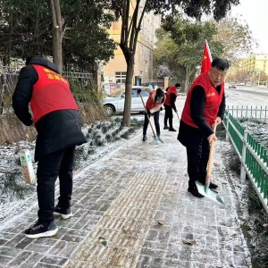 漯河市郾城区：闻雪而动 全力保安全保畅通