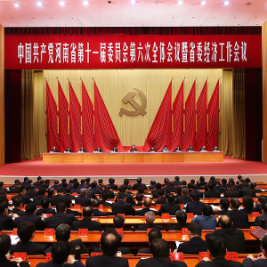 王凯主持召开河南省政府常务会议 传达学习省委十一届六次全会 暨省委经济工作会议精神