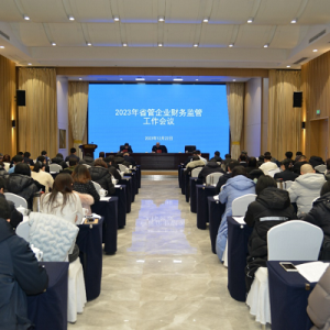 河南省政府国资委召开省管企业2023年度财务监管工作会议