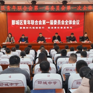 漯河市郾城区青年联合会第一届委员会全体会议召开