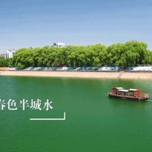 2024年第一场“网信红茶坊”向您邀约
