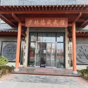 禅武少林功夫“新耀”漯河！