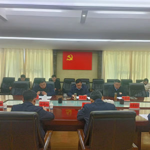 中共十四届舞阳县委审计委员会召开第四次会议