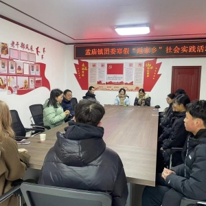 漯河市郾城区孟庙镇积极开展“返家乡”大学生寒假政务实践活动
