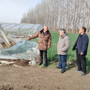 漯河市应急管理局心系受灾群众冷暖 迅速开展灾情核报救助工作