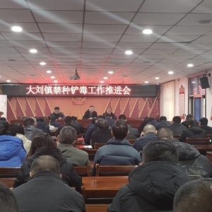 确保辖区“零种植”、“零产量”|漯河市源汇区大刘镇：多措并举开展禁种铲毒工作