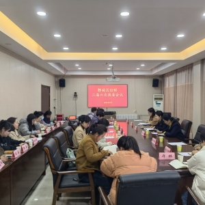 漯河市郾城区妇联召开二届六次执委会议