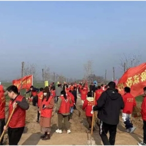 添新绿 绘新颜|漯河市开展春季全民义务植树活动