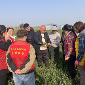 漯河市源汇区：加强春季麦田管理 夯实夏粮丰收基础