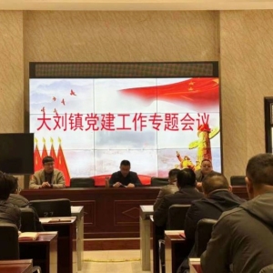 漯河市源汇区大刘镇召开党建专题会议 持续推进基层党组织规范化建设