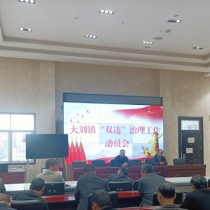 漯河市源汇区大刘镇组织召开“双违”治理工作动员会