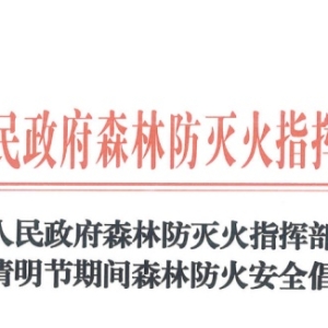 文明祭祀 绿色清明|这份倡议书请收好