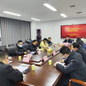 漯河市安委办组织召开“清明节”假期全市安全生产风险研判分析会