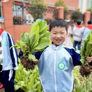 河南漯河：“小田地”里大丰收 菜园“蔬”香润心房