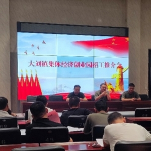 漯河市源汇区大刘镇：优化营商环境打造特色乡镇