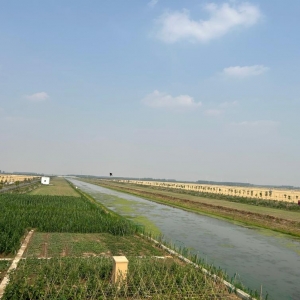 北方产粮大省全力抗旱保夏播
