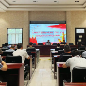 大刘镇学习贯彻中共源汇区第十五届委员会第七次全体会议精神
