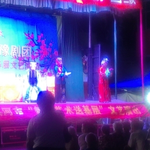 漯河市源汇区大刘镇，组织开展送戏下乡文艺演出活动