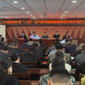 漯河市源汇区大刘镇：党建引领“三秋”丰收季，绘就乡村振兴新画卷