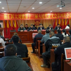 漯河市源汇区大刘镇：五项民生实事接受人大代表“阅卷”