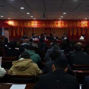 漯河市源汇区大刘镇第十三届人民代表大会第四次会议胜利召开