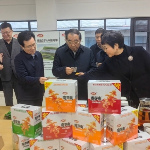 河南漯河：用新质生产力引领工业名优品牌走向世界